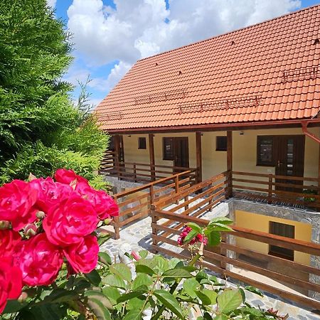 Matei Residence Braşov Eksteriør billede