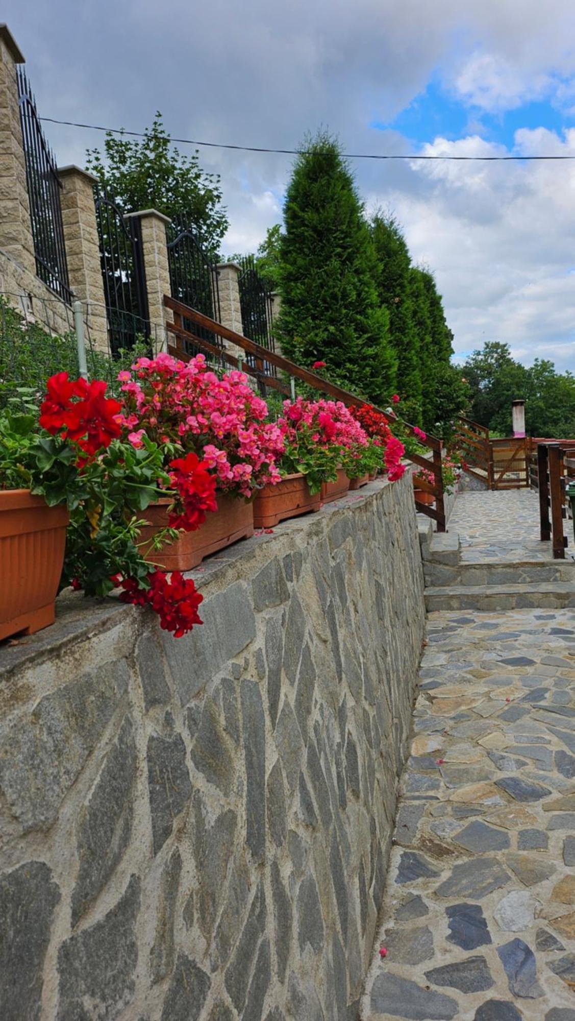 Matei Residence Braşov Eksteriør billede
