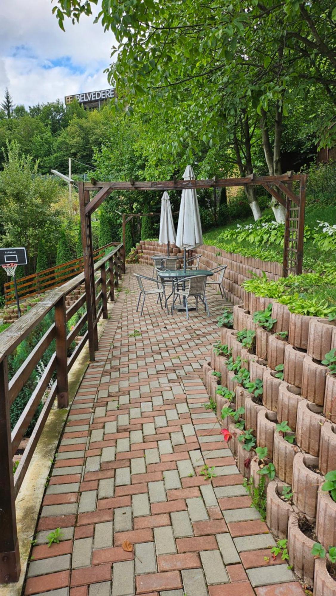 Matei Residence Braşov Eksteriør billede